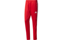 Sports trousers, leggings and shorts